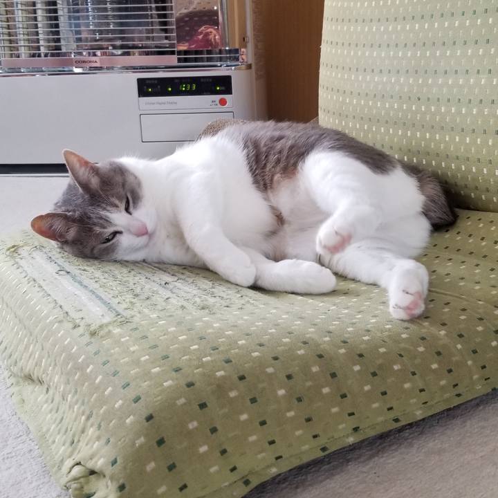 C855d724 17e4 43ec 907a d7bb5ea5251f 1676420645531