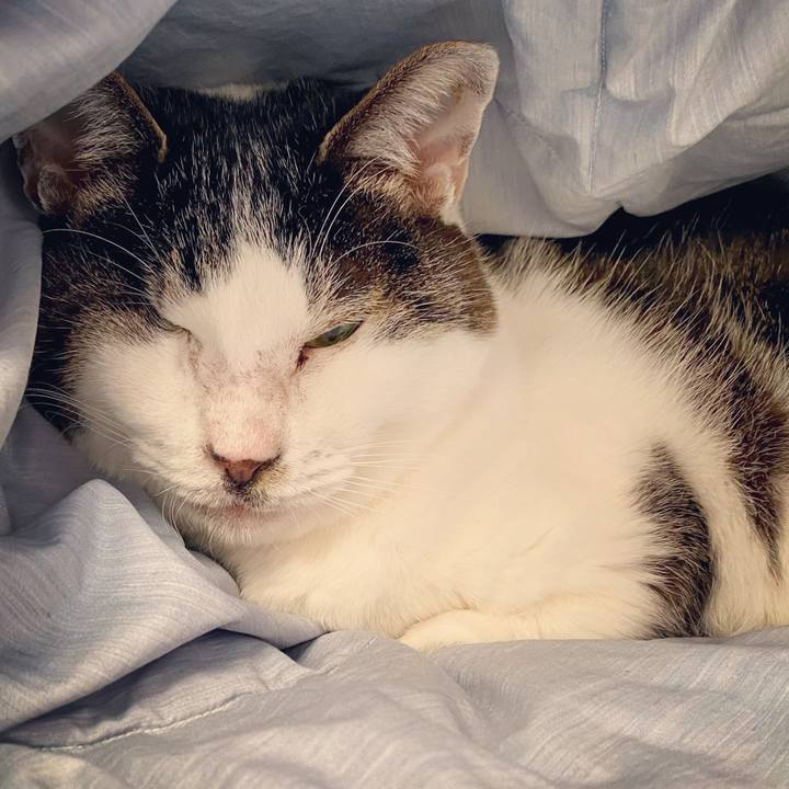 C855e2d8 1a77 4cf4 af65 8b15f8e42ef9 1614122104319