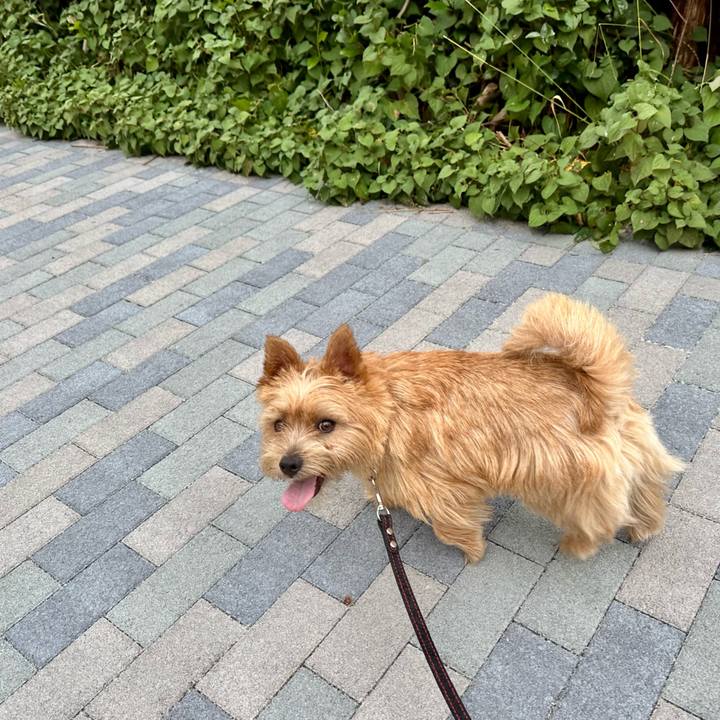 C855effc 8e04 4bd6 bbde 29b36c512bb4 1752208963387