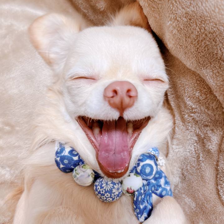 C8561791 a8a2 462b 8f17 1cc5194cac69 1666850792859