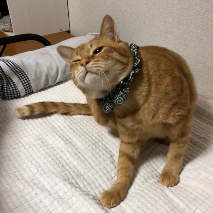 C8561cb1 8c70 4d30 810d 256595500b1e 1584441356081