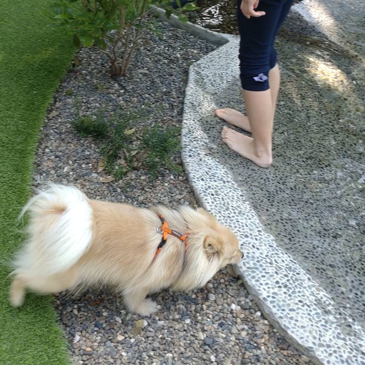 C8561dc2 9bbd 4c55 b619 c03967d07dc2 1749291305920