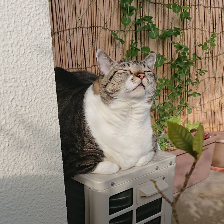 C856377d 85c1 4b4d 8724 9c43782a792c 1578013862512