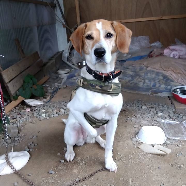 C8563968 b986 4d64 918c b3d5ddbc3063 1688026853507