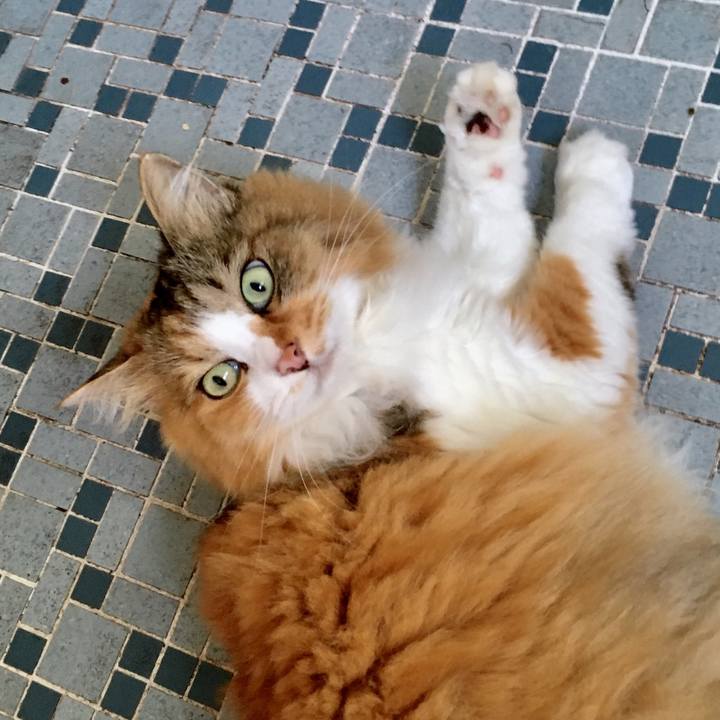 C8565975 289c 4184 9395 559a003ff3f3 1564811274905