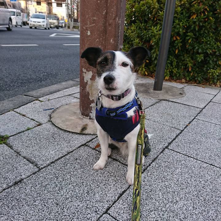 C8567281 7c98 4133 8791 1f573f848135 1516314043187