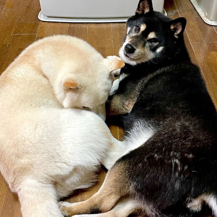 C856afea 14d1 4b32 9e71 2121e5983382 1642910049965