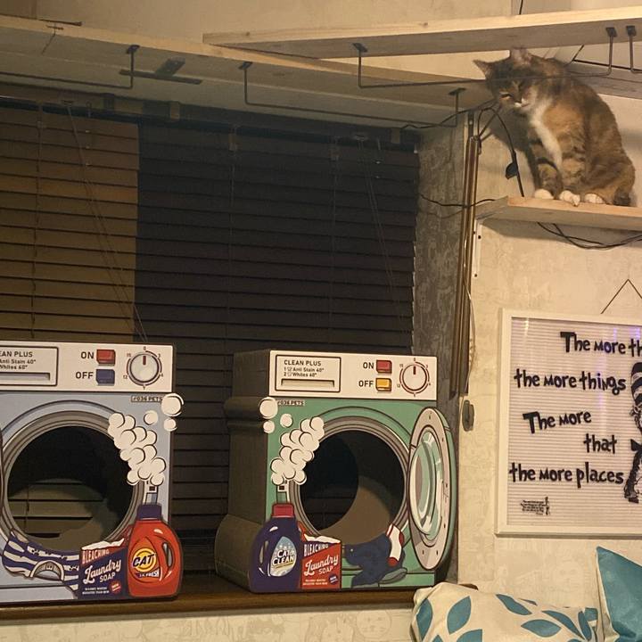 C856b6f7 a339 4a25 9c8f 5fca22f2f827 1697273051598