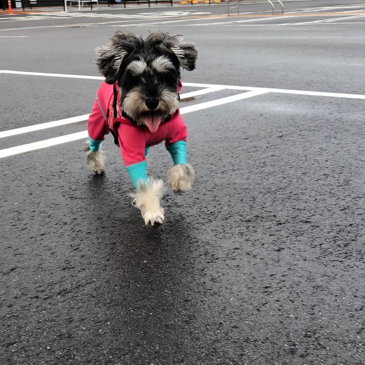 C856d3da af35 42b0 9470 f45b15e7366d 1571459949394