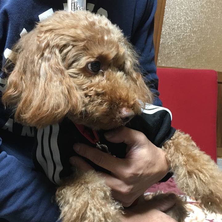 C8570e2d 6736 4a96 9a03 5b333b73ec21 1515203004588