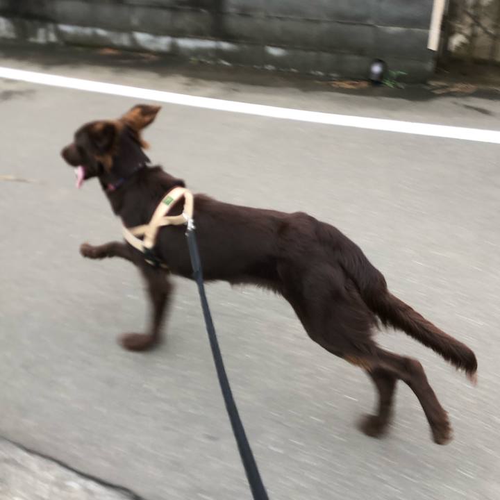 C8571657 a61d 4cd2 94df 298c3937ab48 1566256511725