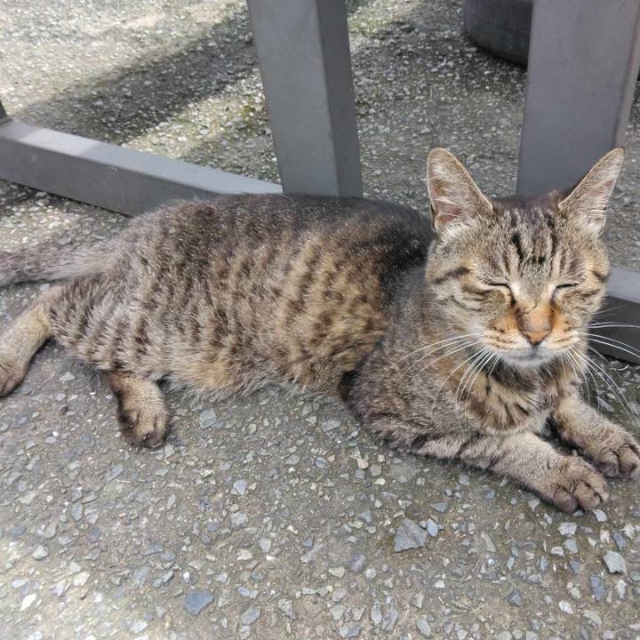 C857187d 1777 4beb b548 dcd964a5846a 1721182780787