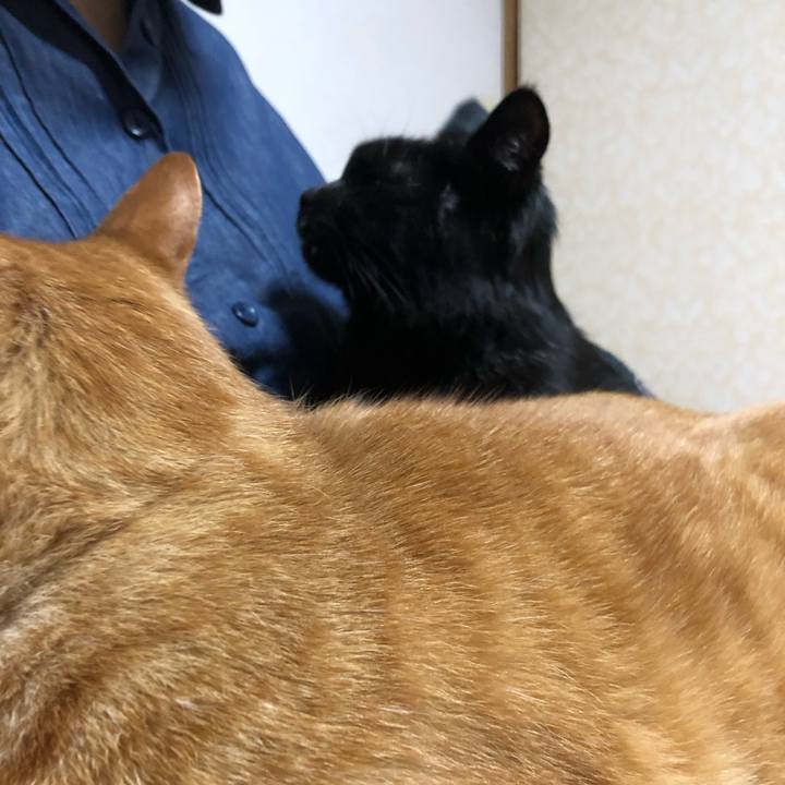 C8572800 13c4 4ac6 ab70 afbc99d1bf18 1638799743790