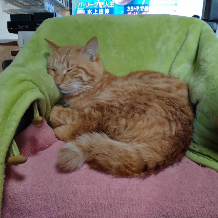 C8574019 1f73 4770 a9fa dc12c12641b3 1669509285578