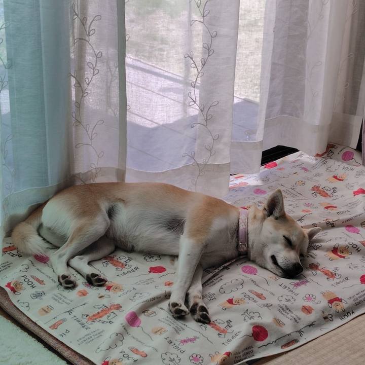 C8574ea7 ad9e 469b ad52 8c70b8ae6e0e 1774494612866