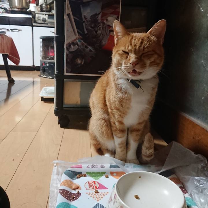 C8576646 7297 4f85 8ea9 b619d69a9058 1603742084235