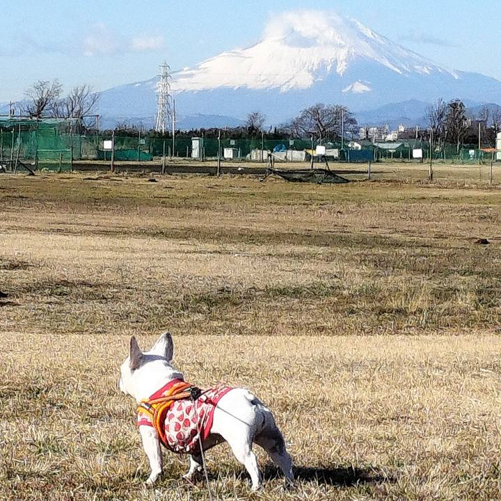 C8576f60 bc0f 44b7 91f2 296f989045aa 1672798949785