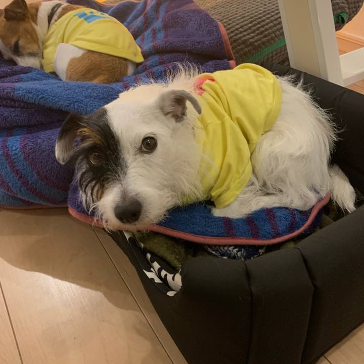 C857ebc2 38f5 43d5 8809 ecab7ce10884 1571741752980