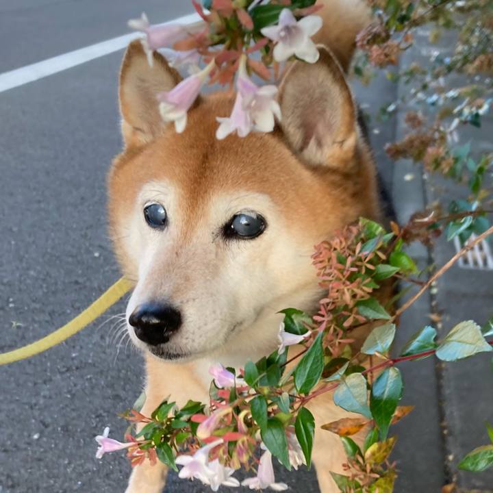 C85825a5 aa02 4e01 b7d2 b39a05de0290 1702191659875