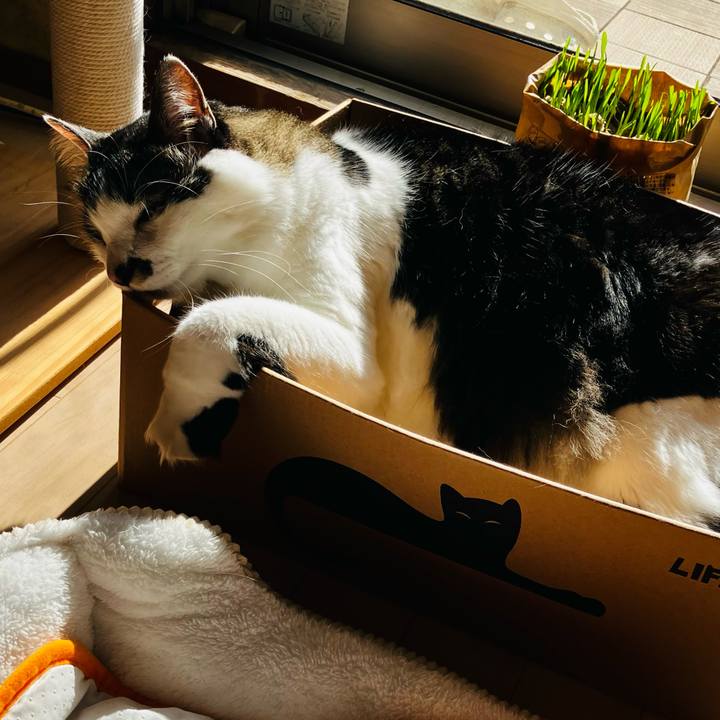 C85827a2 3ff3 4bbd b7b4 6d985c1c8043 1736390099840