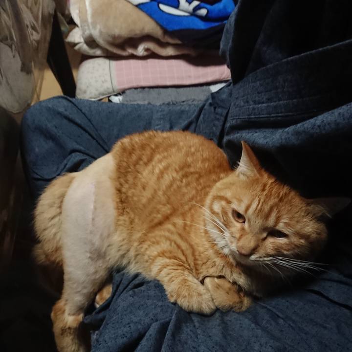 C858516a d1e3 4c9d a69b 48ae333579ce 1654984293785