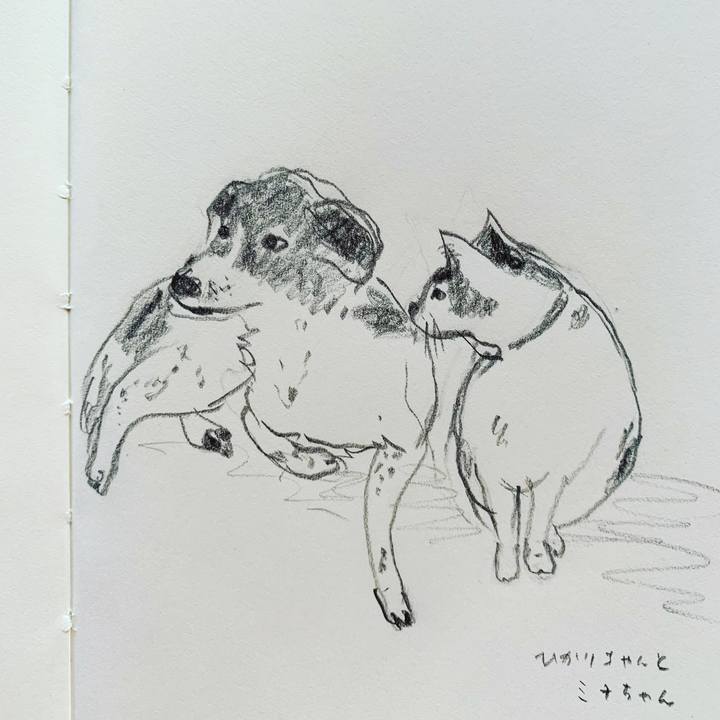 C8590c14 a732 407b 827b 9b6d3203cc55 1600243167025