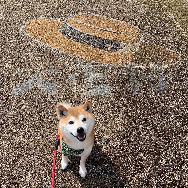 C85910ce 492b 4446 847f a8059a562055 1645009014796