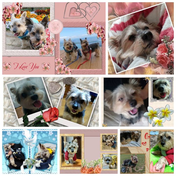 C859220f b24e 438b b42e 013db85fae64 1683510807937