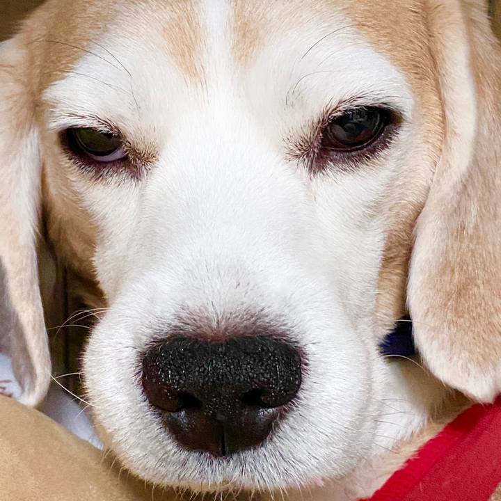 C8594fac e266 49d9 9abb 274a782c3ab4 1588737327935