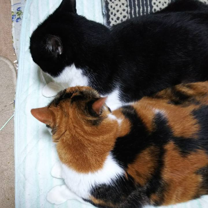 C859633f 9ecb 490e be14 c85f3b889440 1539467883782