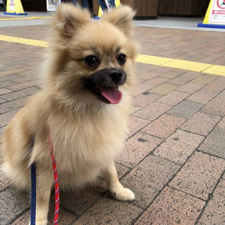 C8597128 e3a0 468e a2c2 0f87808115a3 1622779306315