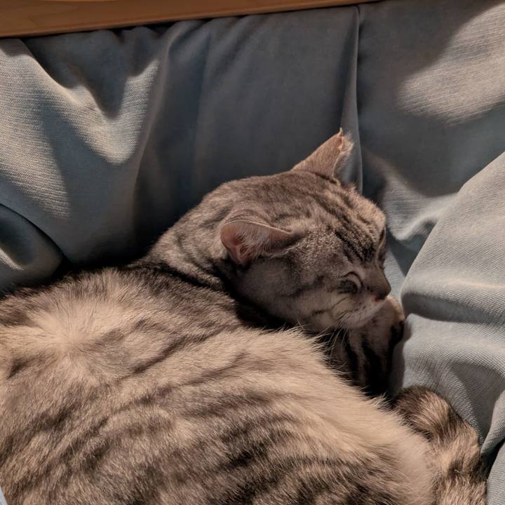 C85987a1 a17a 463d 8a2c e86d052f6464 1763919179722