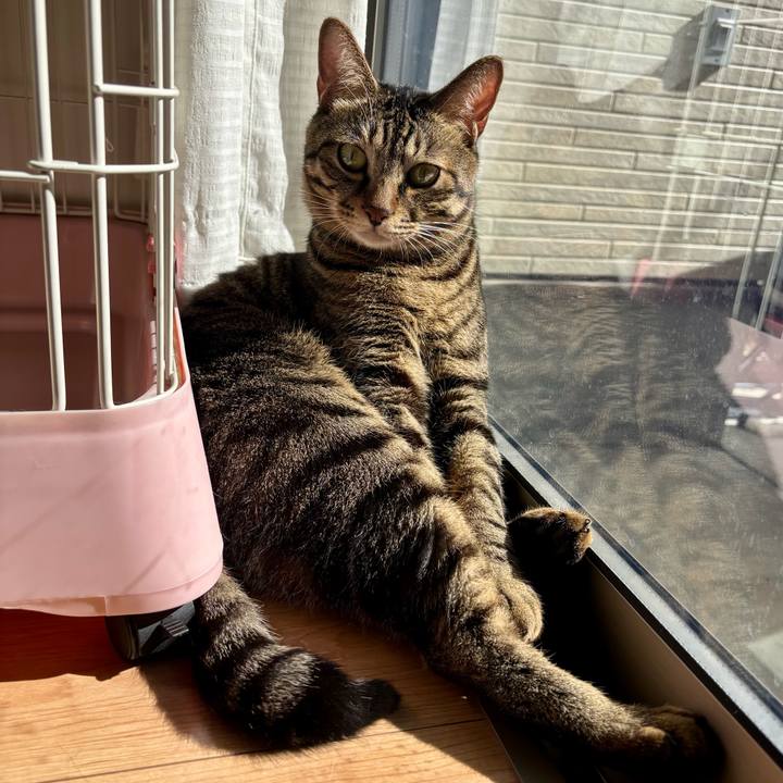 C8598fe1 5a2b 4e45 b18e 2955457ac020 1762135533695