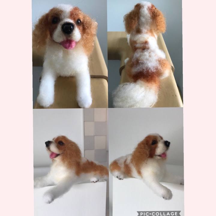 C859a486 bfd6 46d0 9263 0f16aca2110b 1534572166899