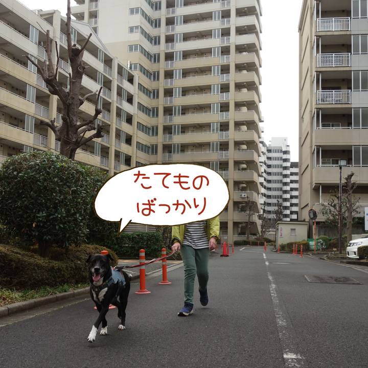 C859bd72 939a 40ca 9837 cfd1b0b09f8e 1708393303685