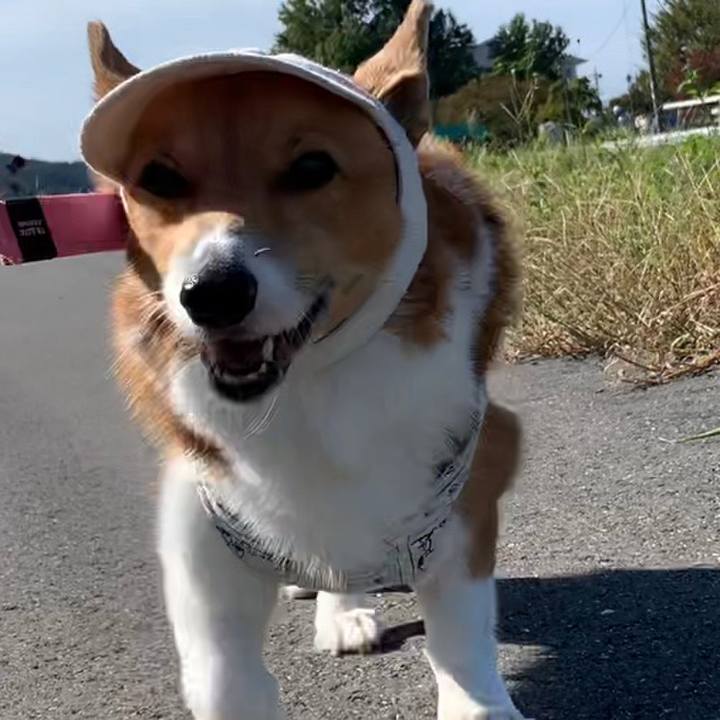 C859d68b 149e 4408 adf1 6aa464b65bdd 1696988621660