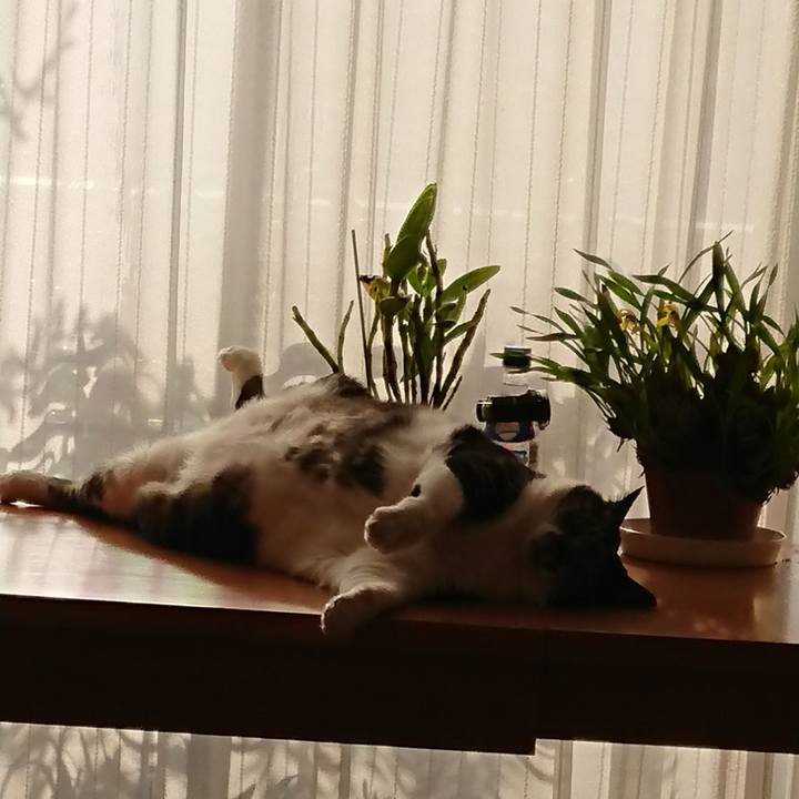 C859d7b3 be88 4e64 9e0c 308674ae73f7 1522363375892