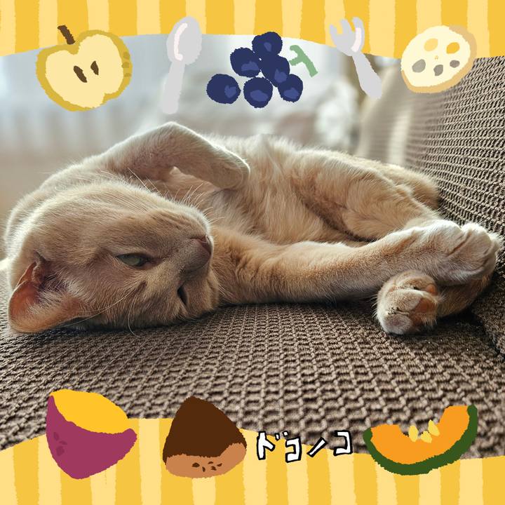 C859de33 33e5 42a6 83c4 193a7244d242 1726828774610