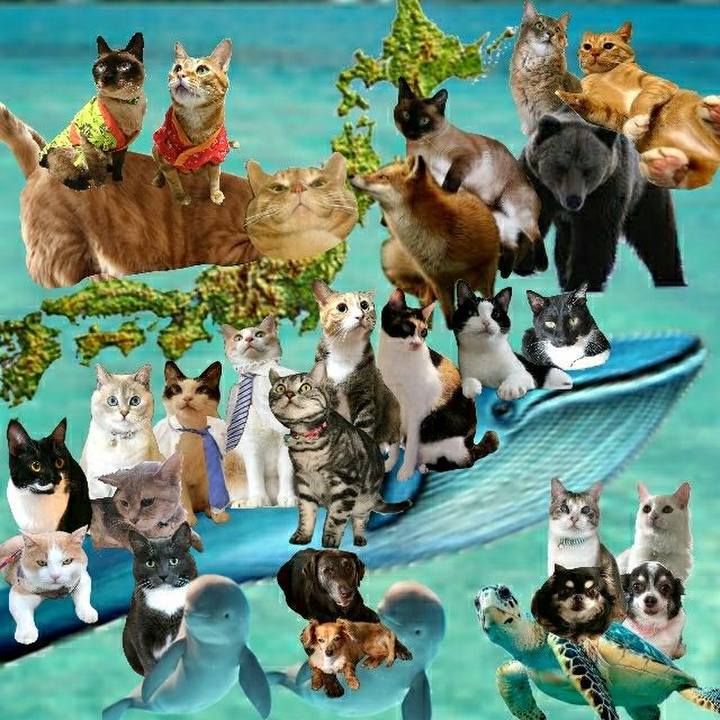 C85a2c3e f0bc 4243 9dad 0a08b894b7cc 1534800227759