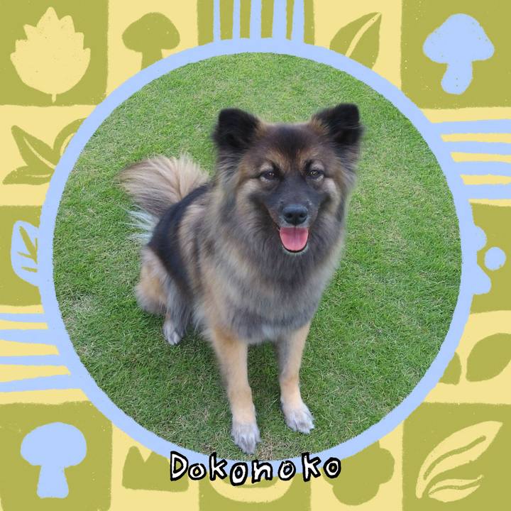 C85a440d 373c 4075 b461 b78e478dcfa7 1761469551865