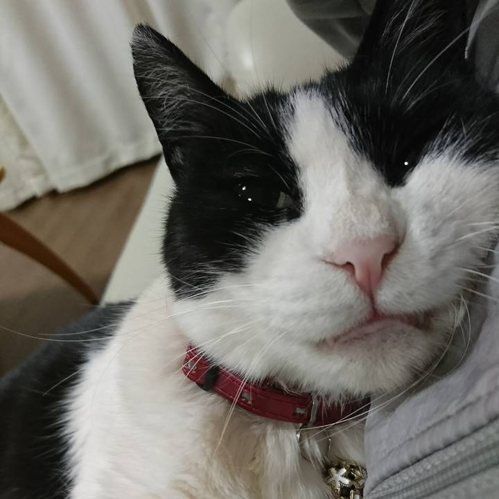 C85a5cca ad48 45b9 8a06 da4a54eaa803 1614337365699