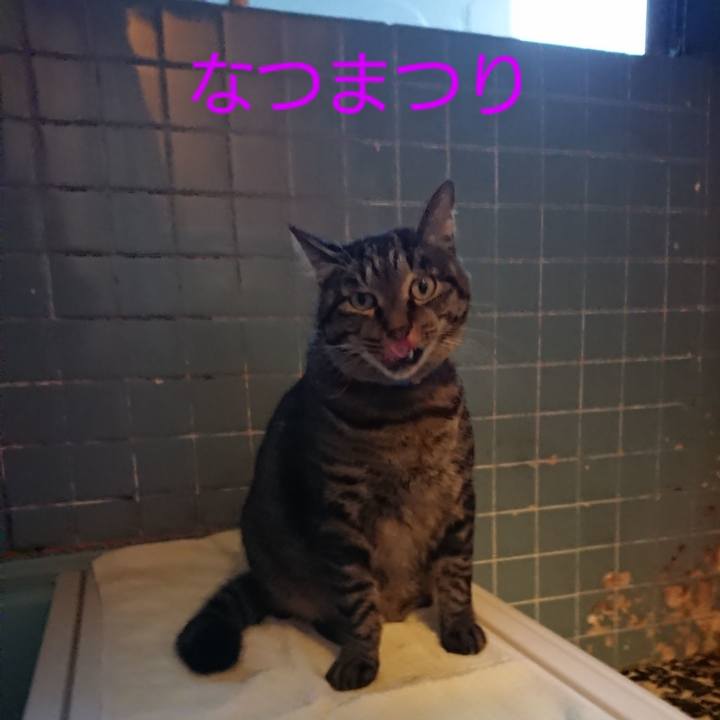 C85a67a5 b390 4e3e ae5a 8acf20de744a 1661682477063