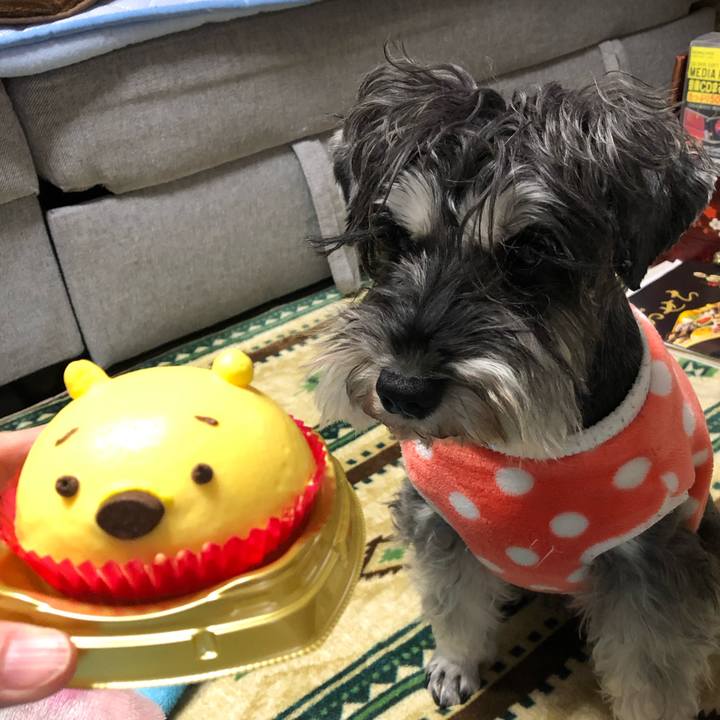 C85a6832 e2a3 4769 942d ef676729faca 1608561377265