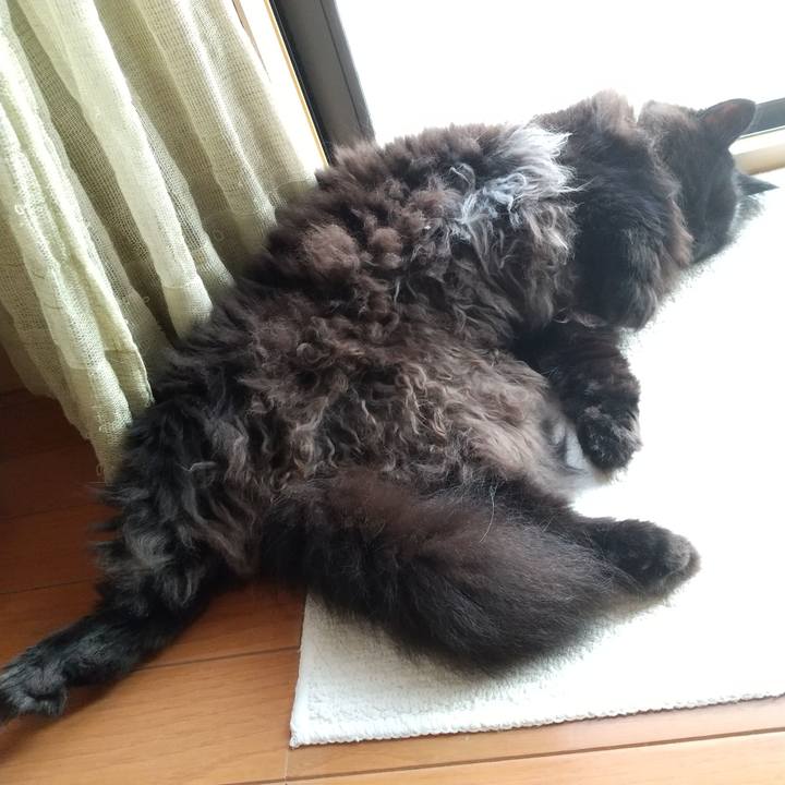 C85a7bc8 50f4 489c a3b1 e05b2a79d8b7 1596614845092