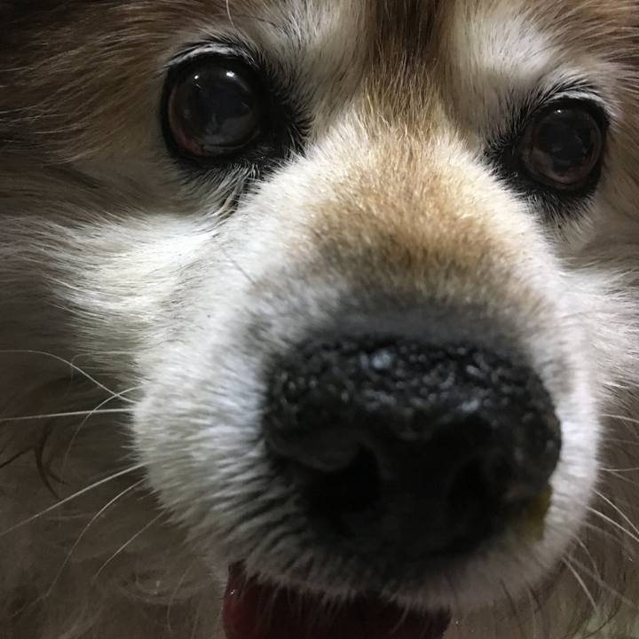 C85a94ef 1220 4784 bd31 7f5092bc477e 1589447676753