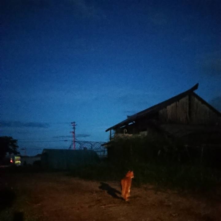 C85aa5ee 4719 4181 9833 98e8130cf624 1597400514794