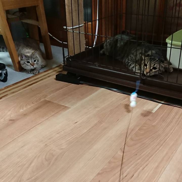 C85abe22 198b 462f 85e2 551710a113ca 1519041729265