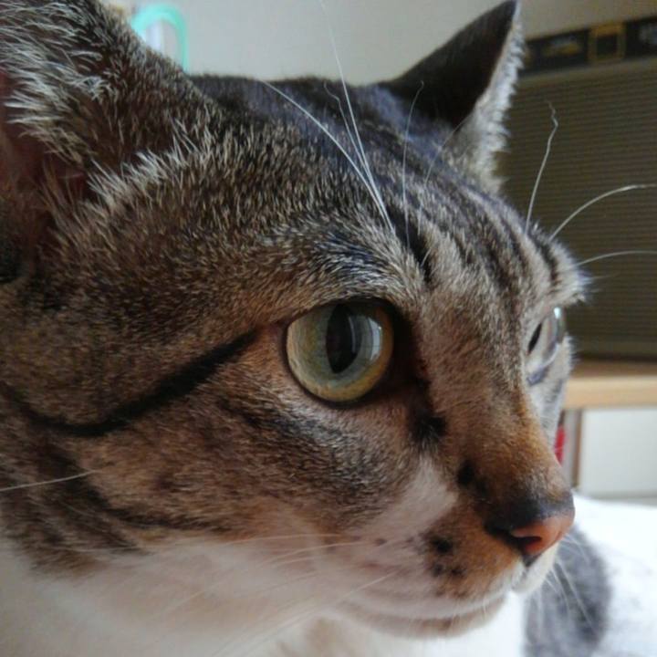 C85ac84f f55a 4e47 bc77 e58512260bb6 1670638099866