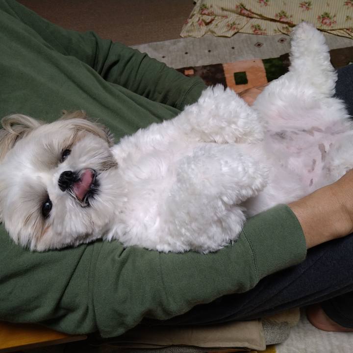 C85acca6 2539 4087 ad77 d0f645f2f793 1637106399430