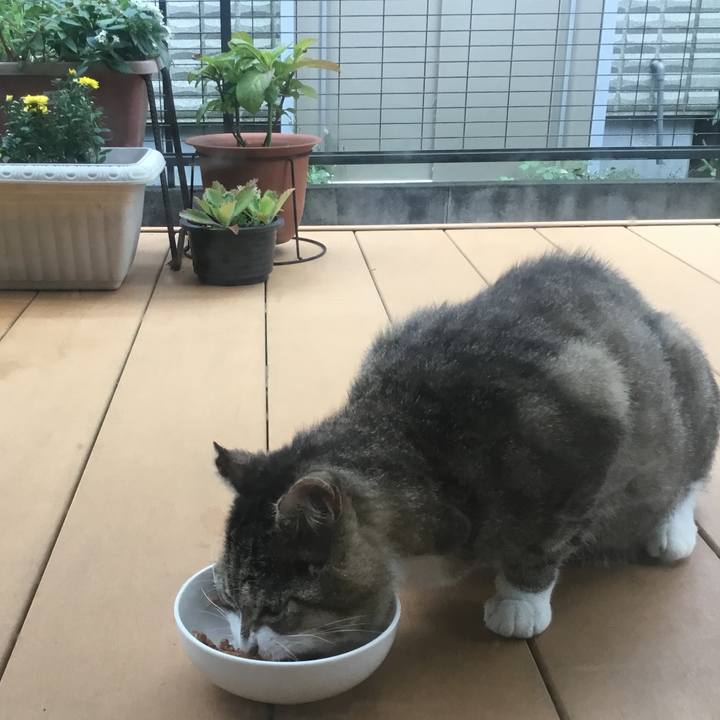 C85b07a2 b50a 4d99 b429 76208dc0513a 1760878978161